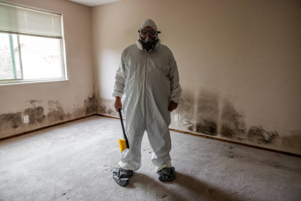 Best Bathroom Mold Remediation in Highland, KS